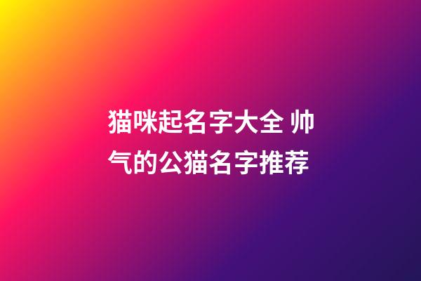 猫咪起名字大全 帅气的公猫名字推荐